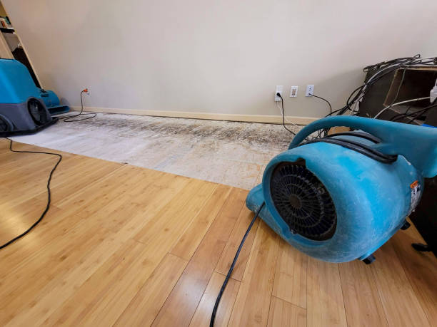 Professional Structural Drying technician working in Saginaw, MI